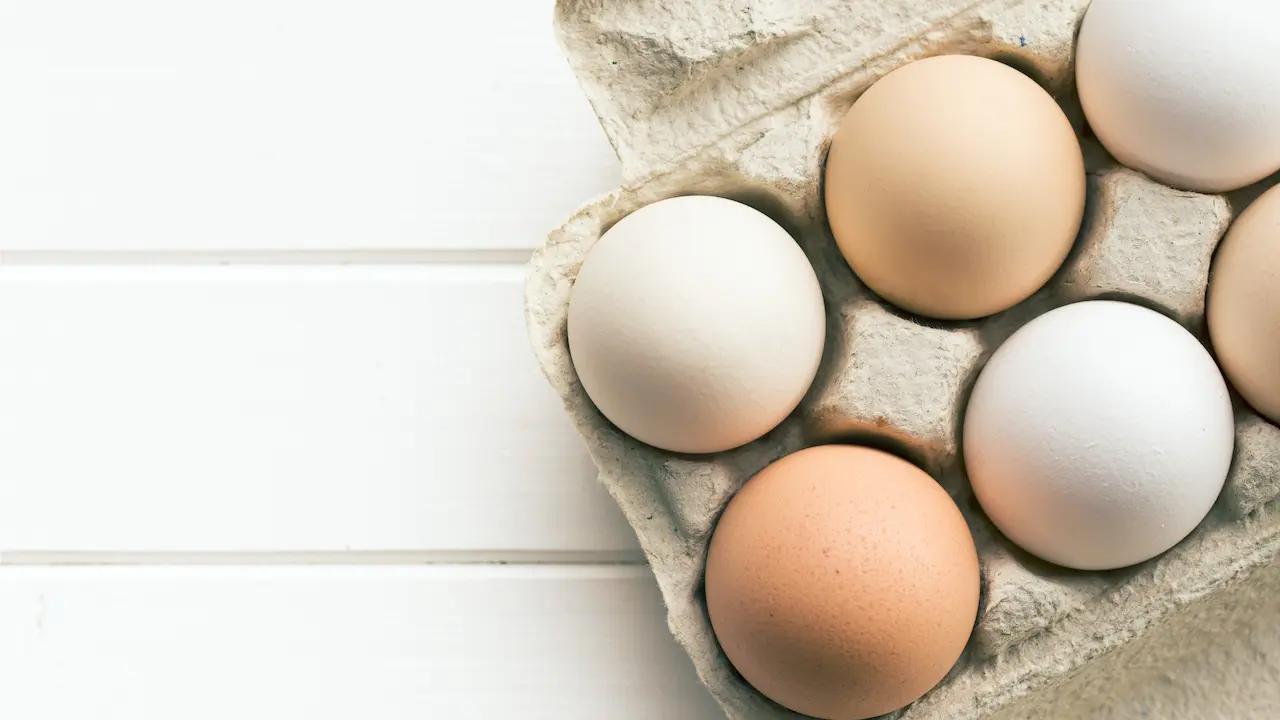Hard-boiled egg as an OPTAVIA snack